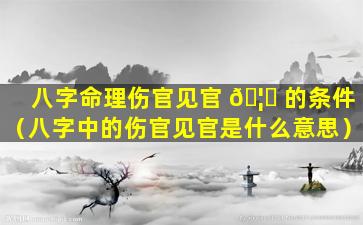 八字命理伤官见官 🦈 的条件（八字中的伤官见官是什么意思）